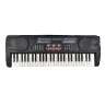 Musical Instruments & Gear